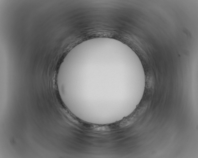 X0000113150185200909040939