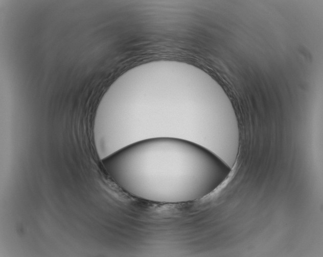X0000113150186200909040939