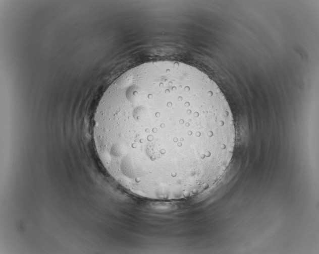 X0000113150187200909040939