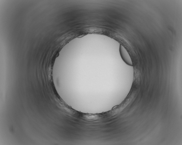 X0000113150189200909040939