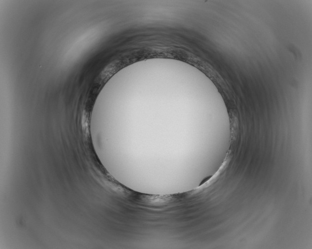 X0000113150191200909040939