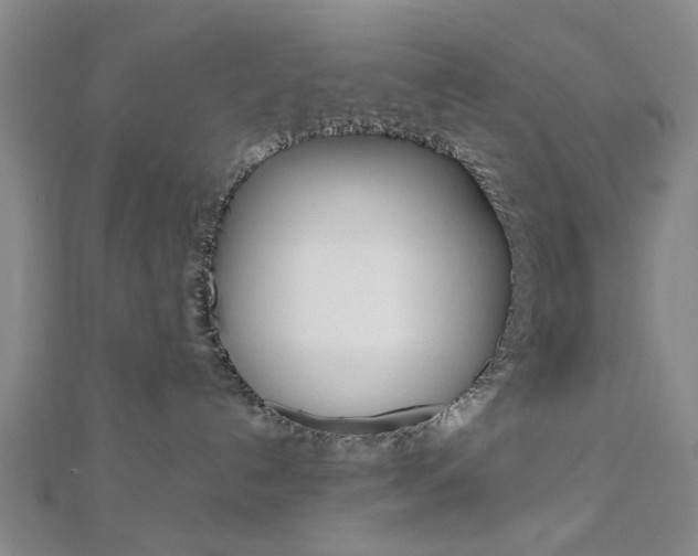 X0000113150192200909040939