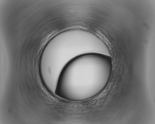 X0000113150193200909040939