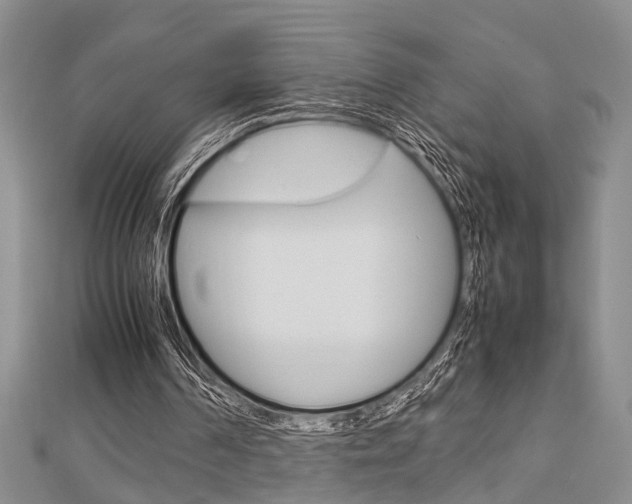X0000113150194200909040939