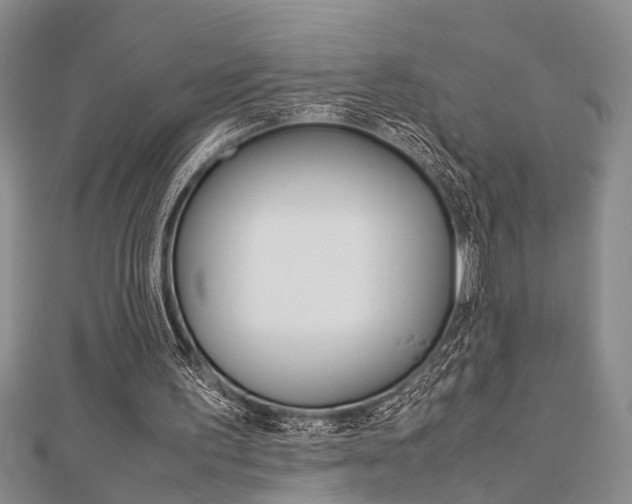 X0000113150195200909040939