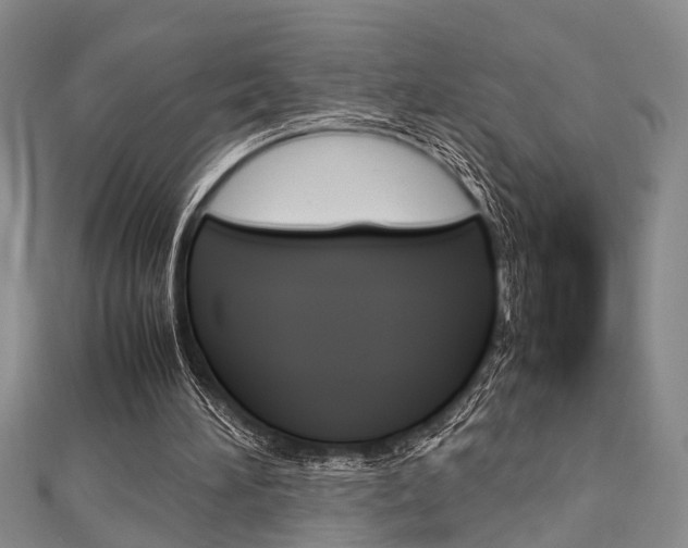 X0000113150196200909040939