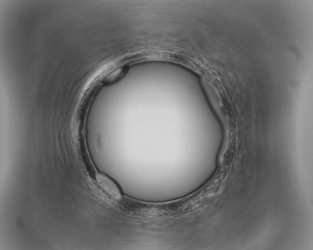 X0000113150197200909040939