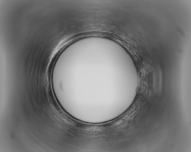 X0000113150198200909040939