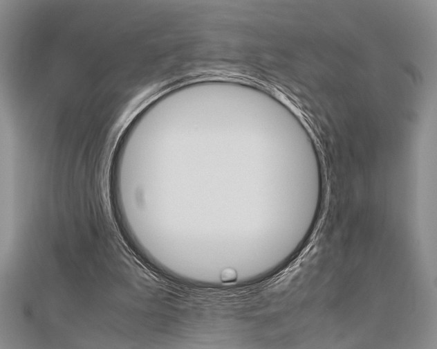 X0000113150199200909040939