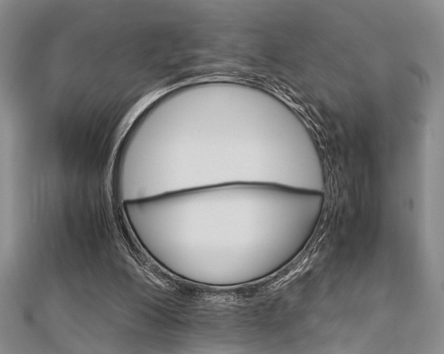 X0000113150200200909040939