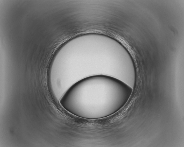 X0000113150201200909040939