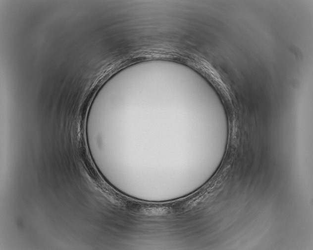 X0000113150202200909040939