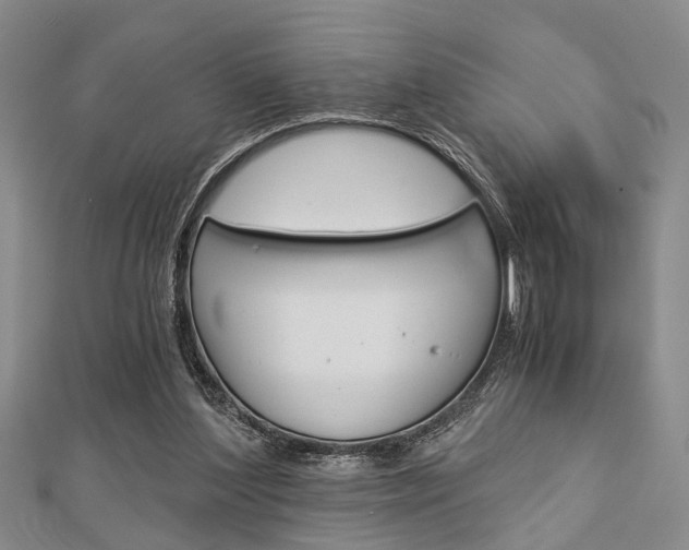 X0000113150204200909040939