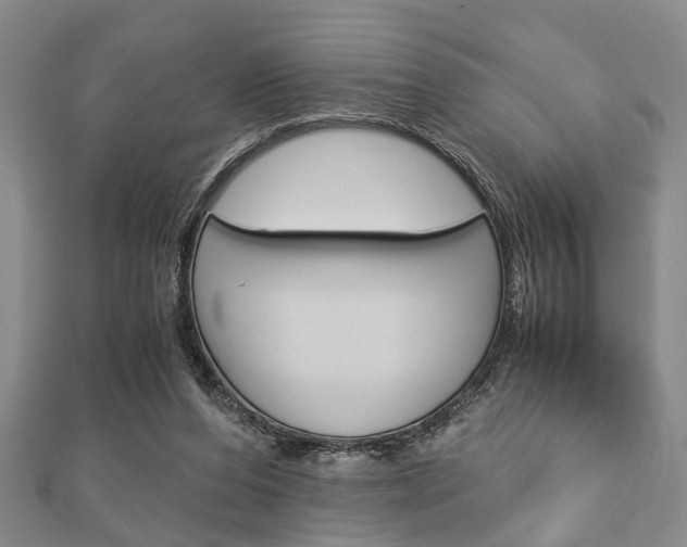 X0000113150208200909040939