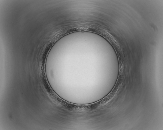 X0000113150209200909040939