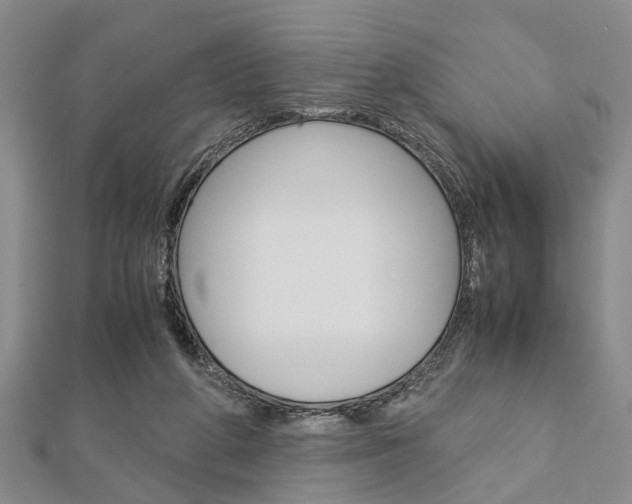 X0000113150210200909040939