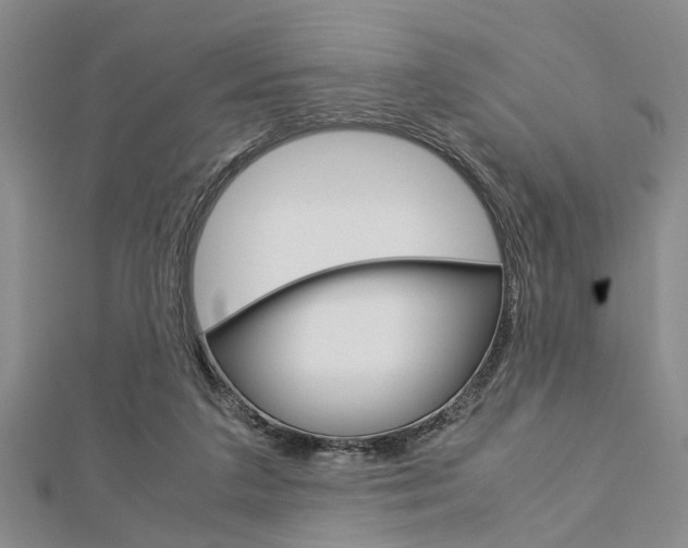 X0000113150211200909040939