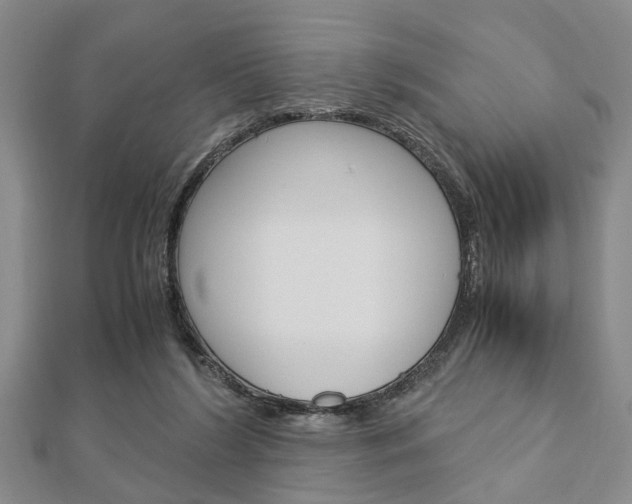 X0000113150212200909040939