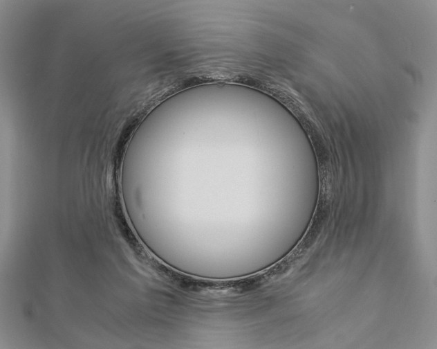 X0000113150213200909040939
