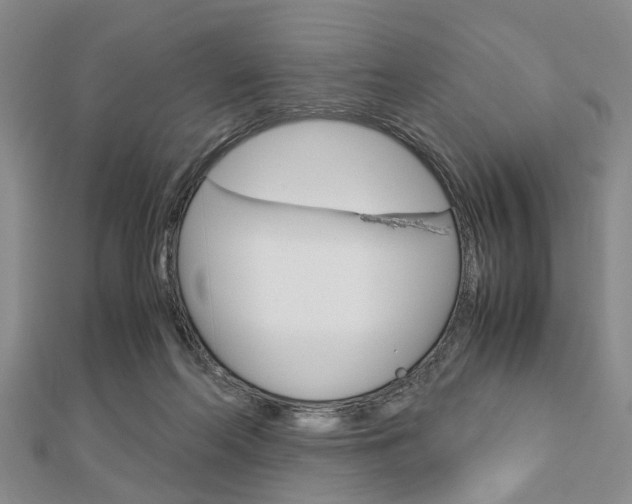 X0000113150214200909040939