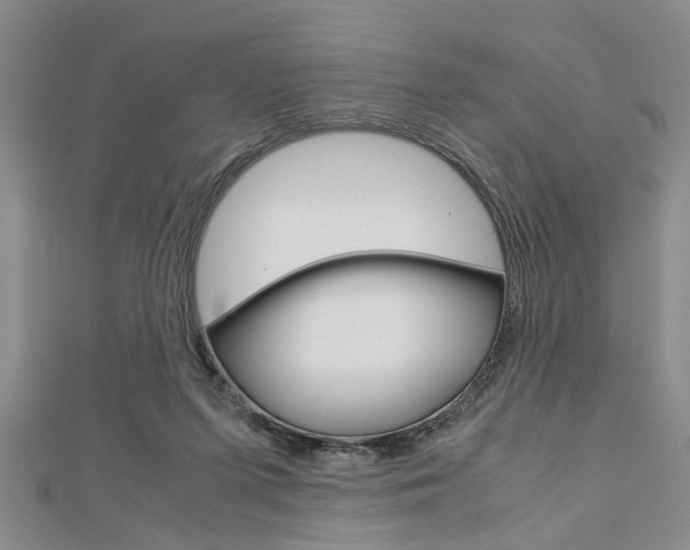 X0000113150215200909040939