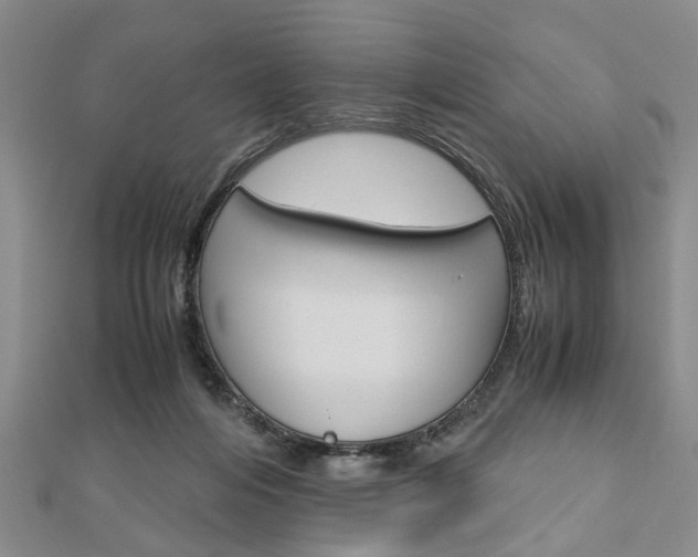 X0000113150216200909040939