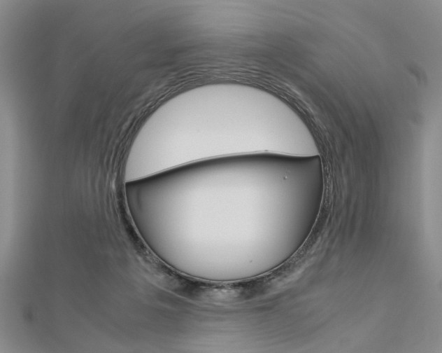 X0000113150217200909040939