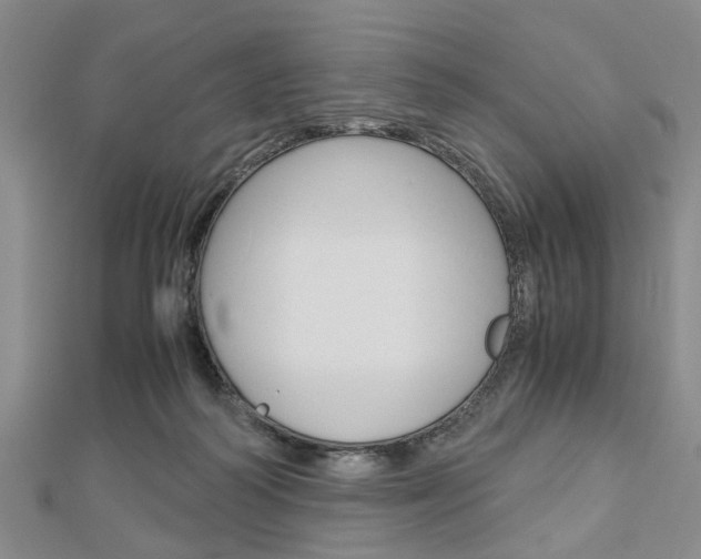 X0000113150218200909040939
