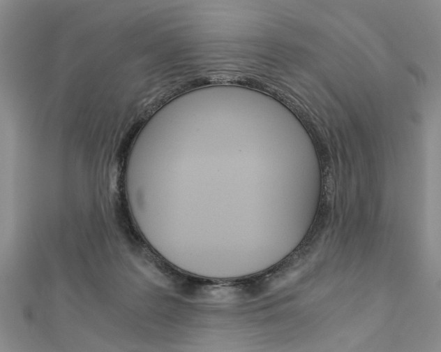 X0000113150219200909040938
