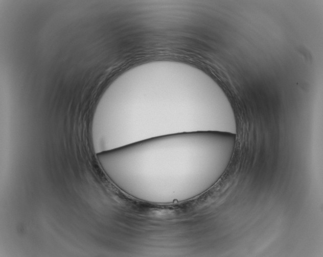 X0000113150220200909040938