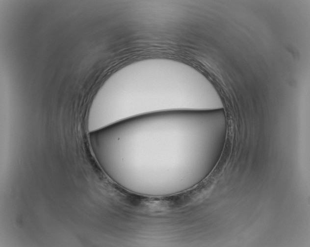 X0000113150221200909040938