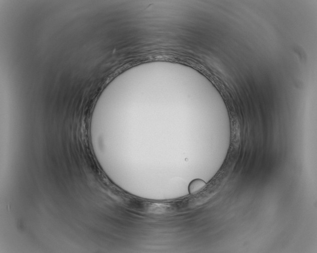 X0000113150222200909040938