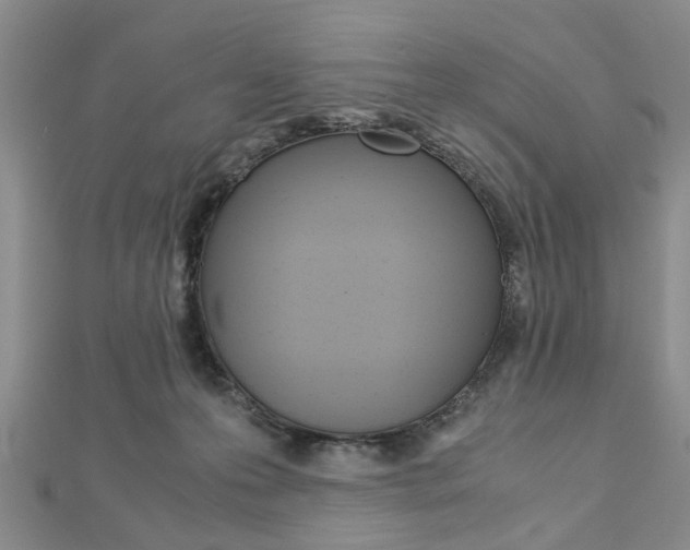 X0000113150223200909040938