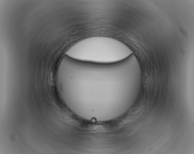 X0000113150224200909040938