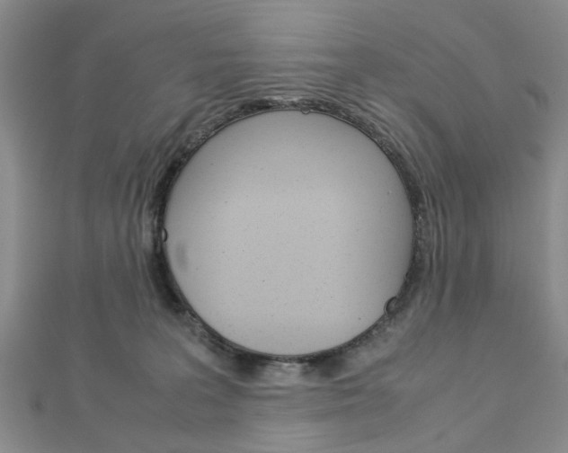 X0000113150227200909040938