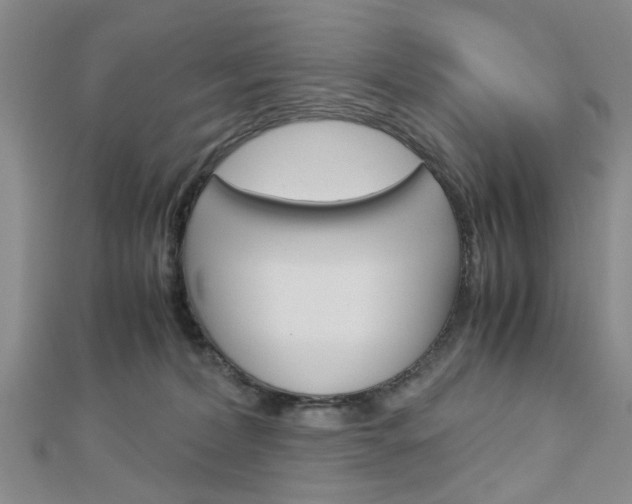 X0000113150228200909040938