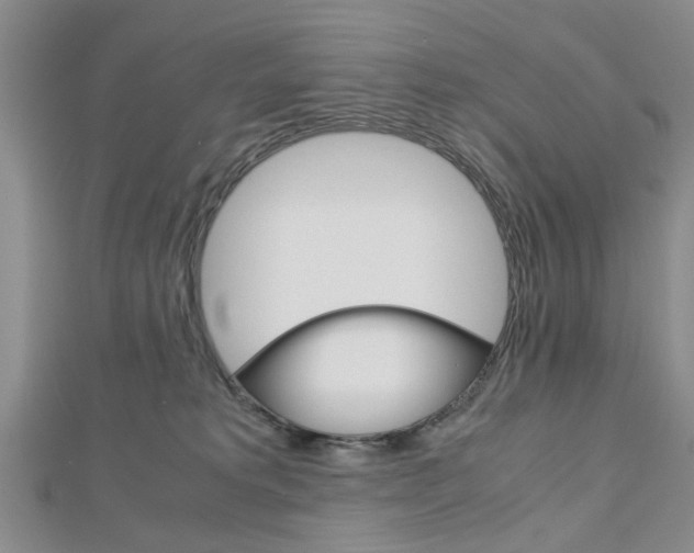 X0000113150229200909040938
