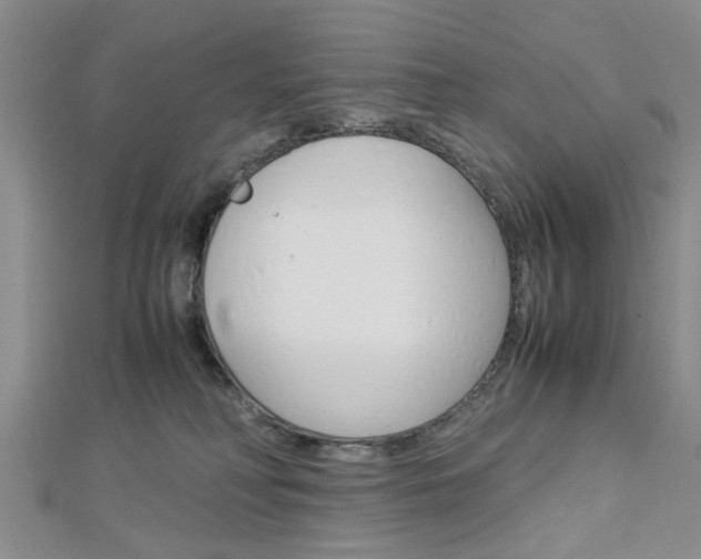 X0000113150230200909040938