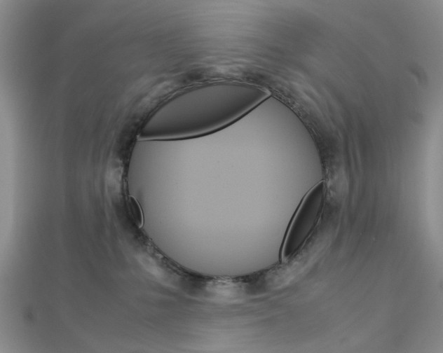 X0000113150231200909040938