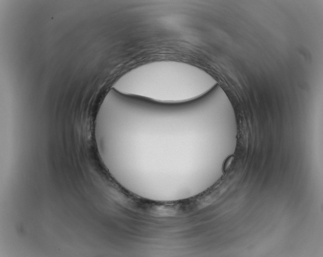 X0000113150232200909040938