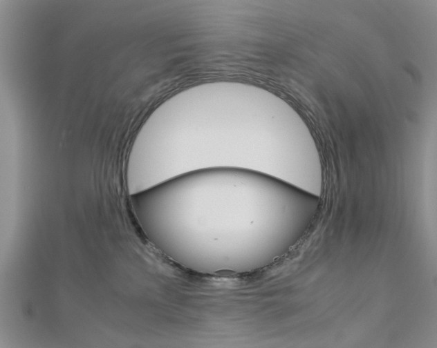 X0000113150233200909040938