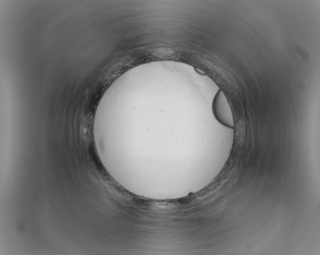 X0000113150234200909040938