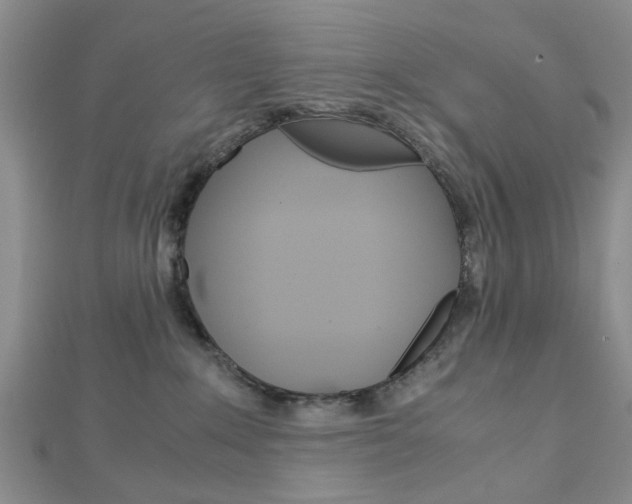 X0000113150235200909040938