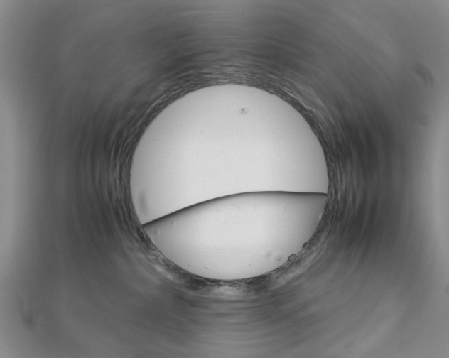 X0000113150236200909040938