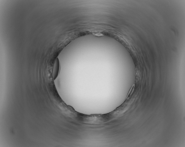 X0000113150237200909040938
