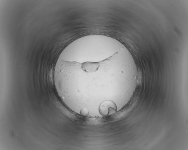 X0000113150238200909040938