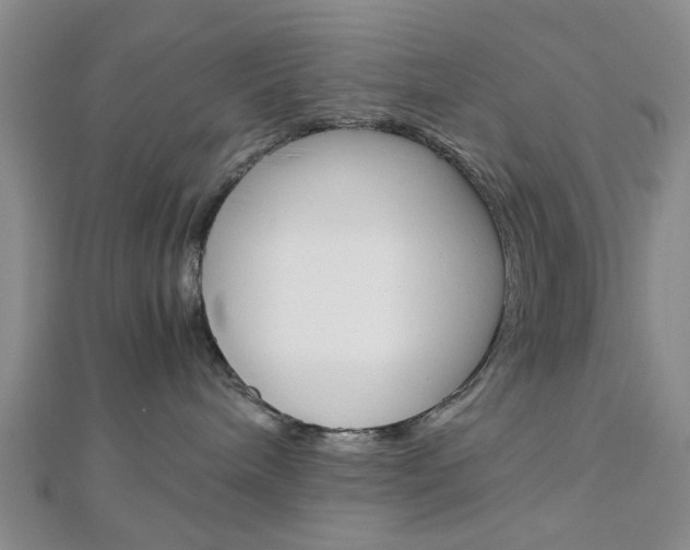 X0000113150240200909040938