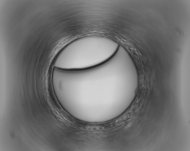 X0000113150242200909040938