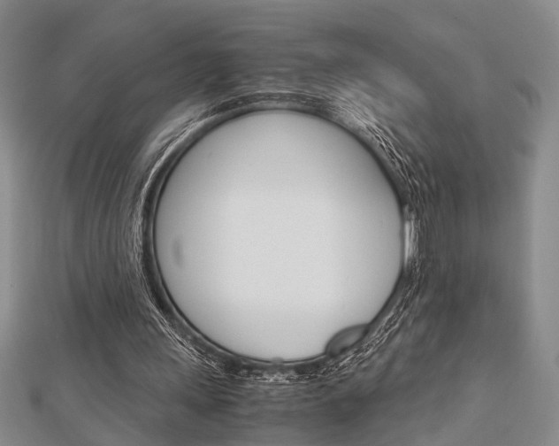X0000113150243200909040938