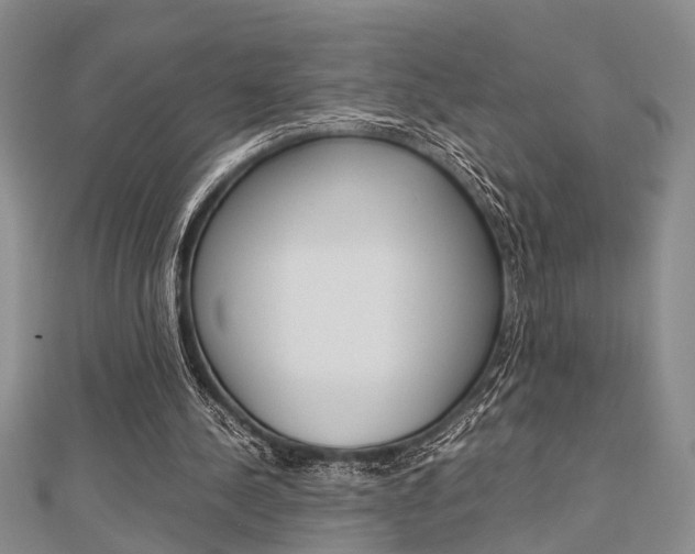X0000113150244200909040938